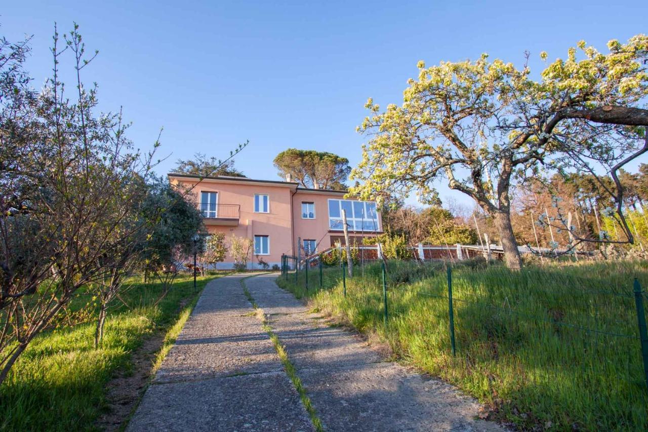 La Camelia Bianca B&B Lerici Exteriör bild