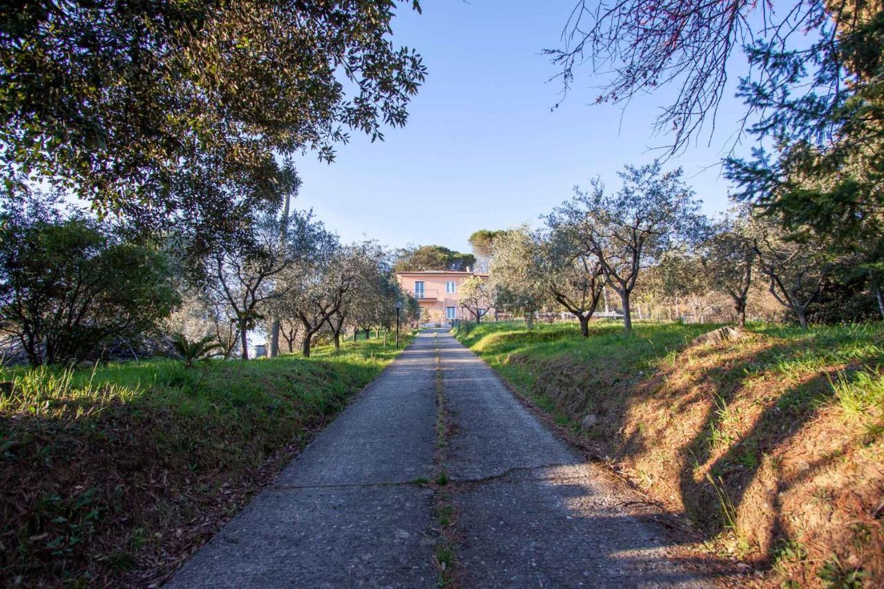 La Camelia Bianca B&B Lerici Exteriör bild
